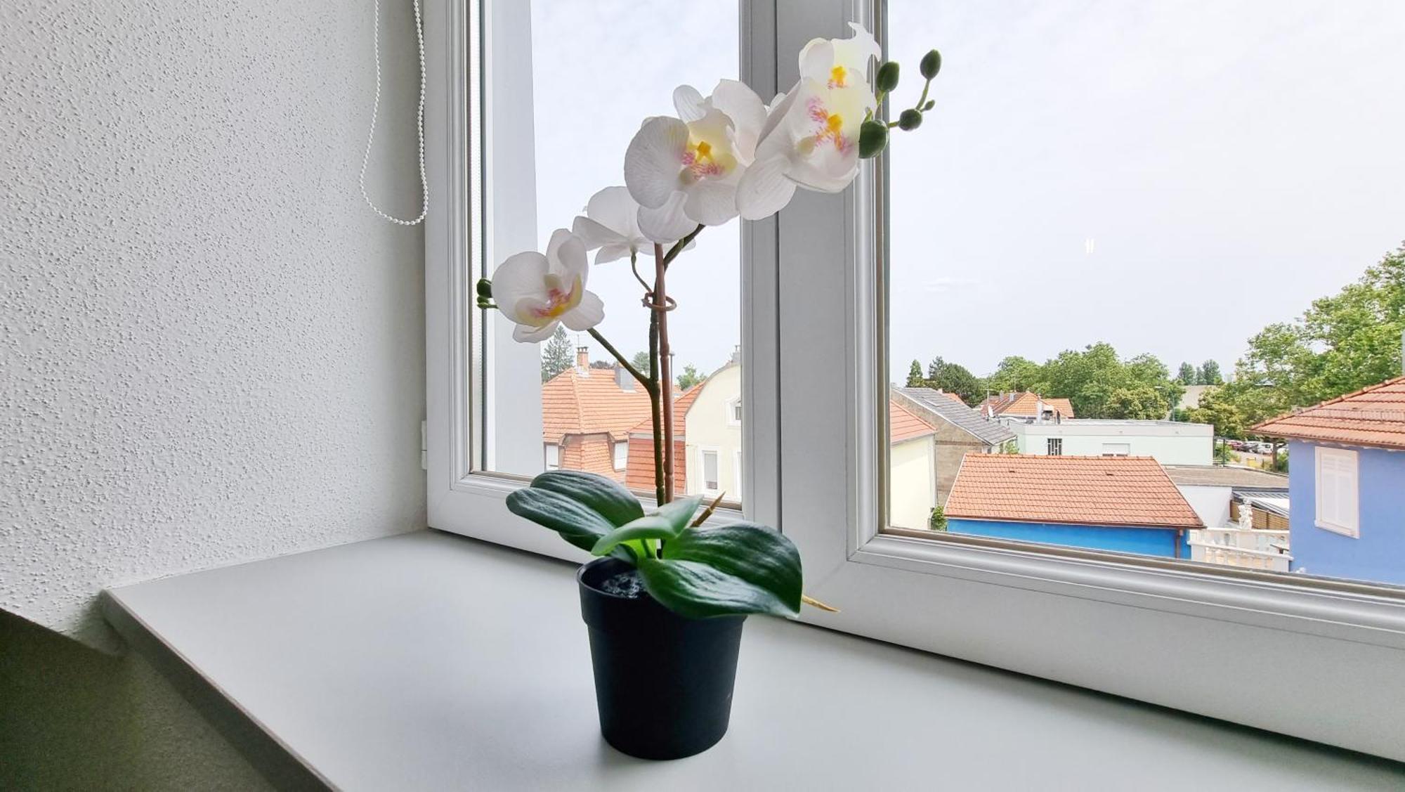 Le Triplex - 5 Chambres - 10 Pers- Fibre - Relax Bnb Μυλούζη Εξωτερικό φωτογραφία